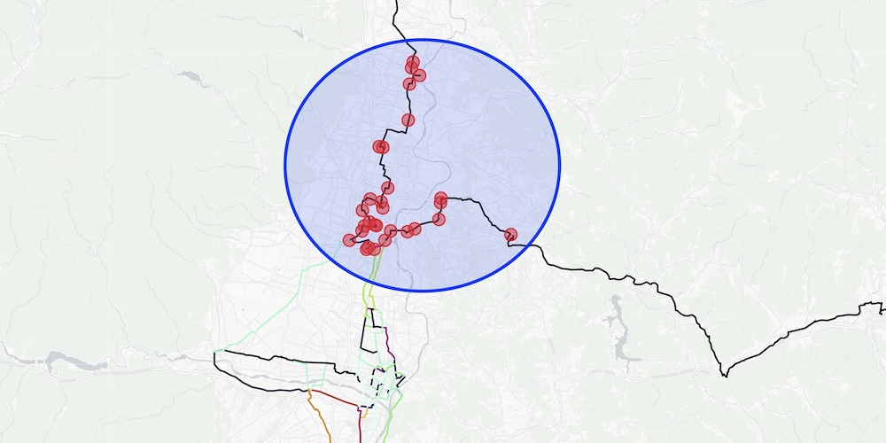 Close-up of the branching set