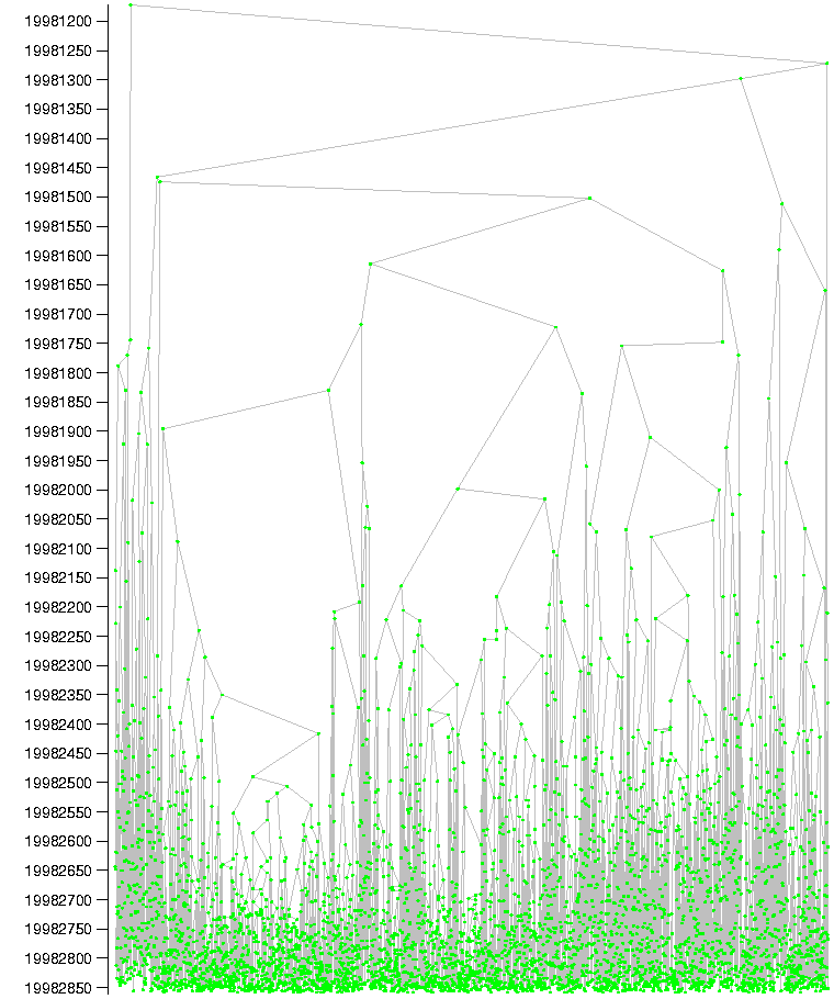 usa13509 branching tree